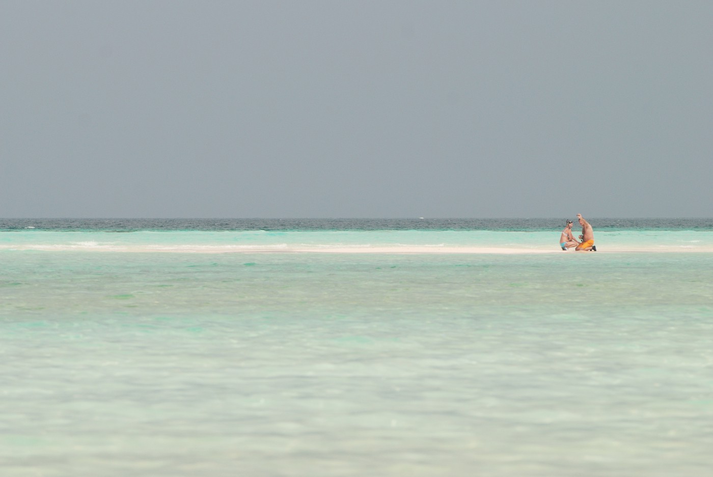 DSC 4372 527.JPG