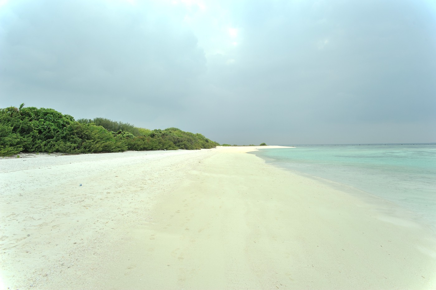 DSC 2443 487.JPG