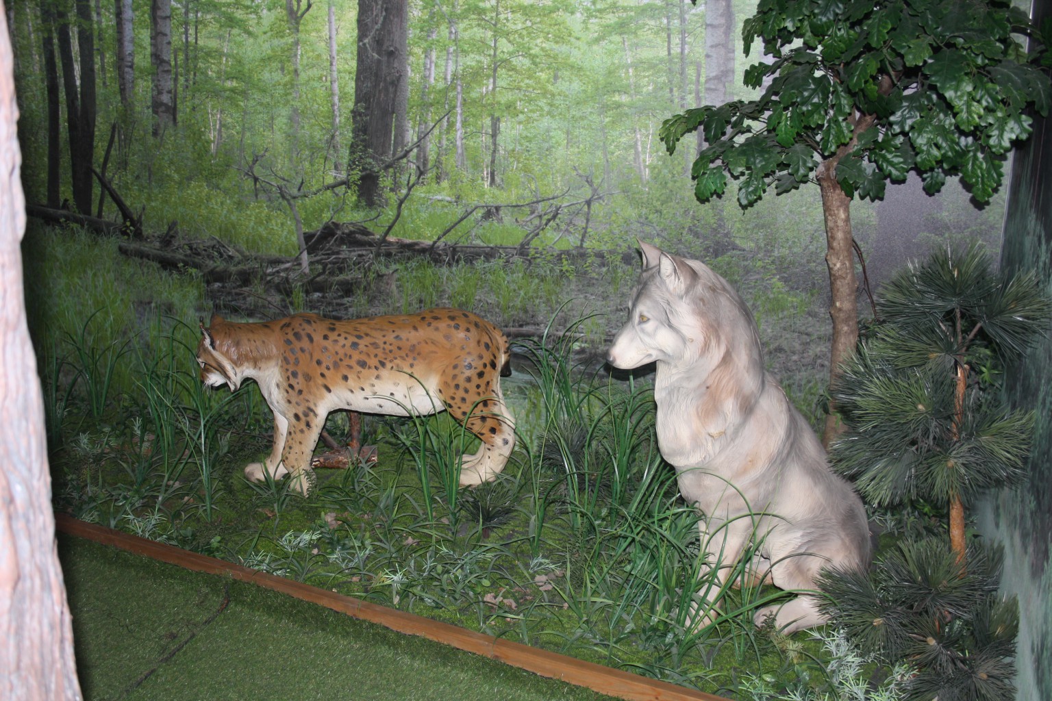 IMG 8641.JPG