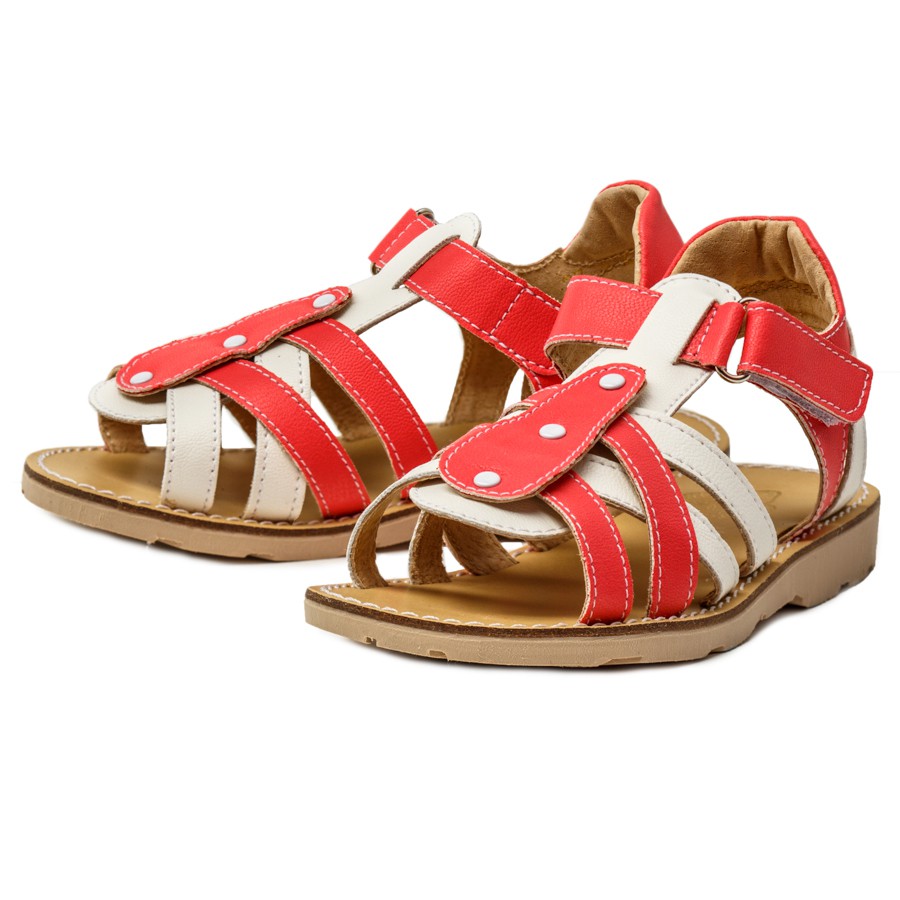 43315-11202-2  -.jpg