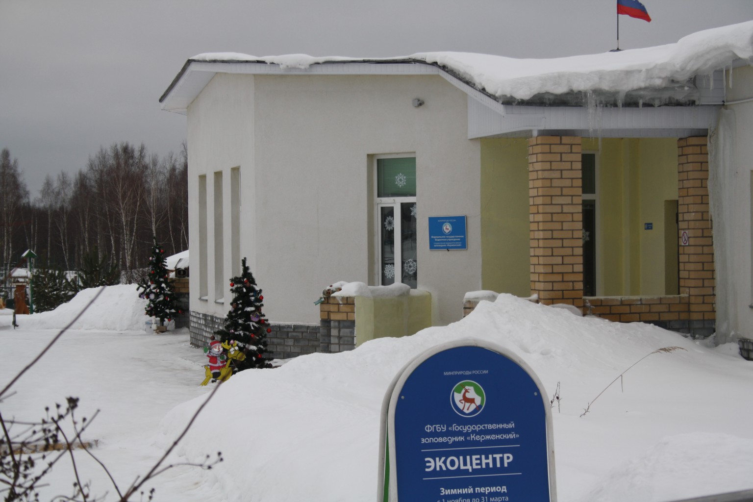 IMG 8619.JPG