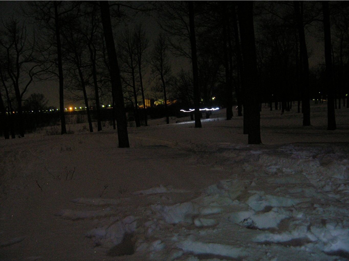 P3190499.JPG