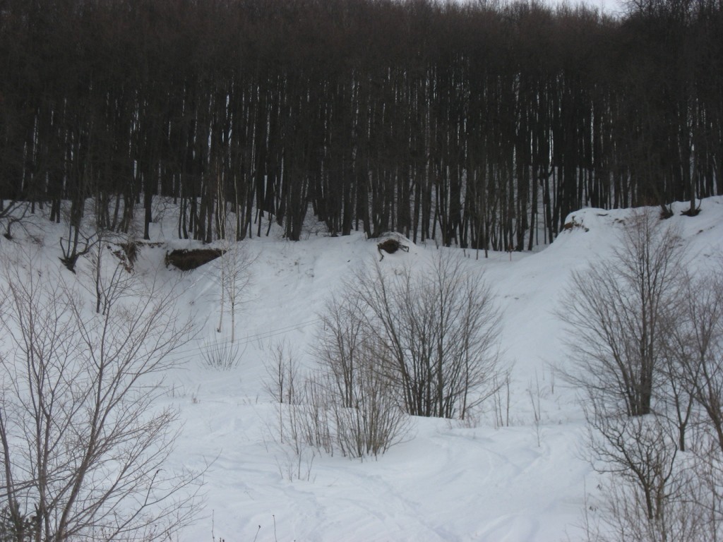 IMG 8819.JPG