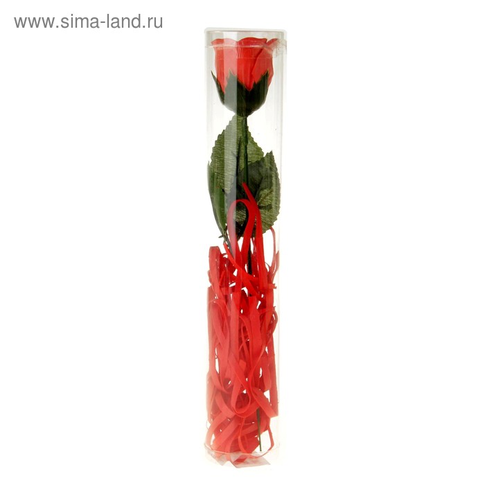 Мыльные лепестки 