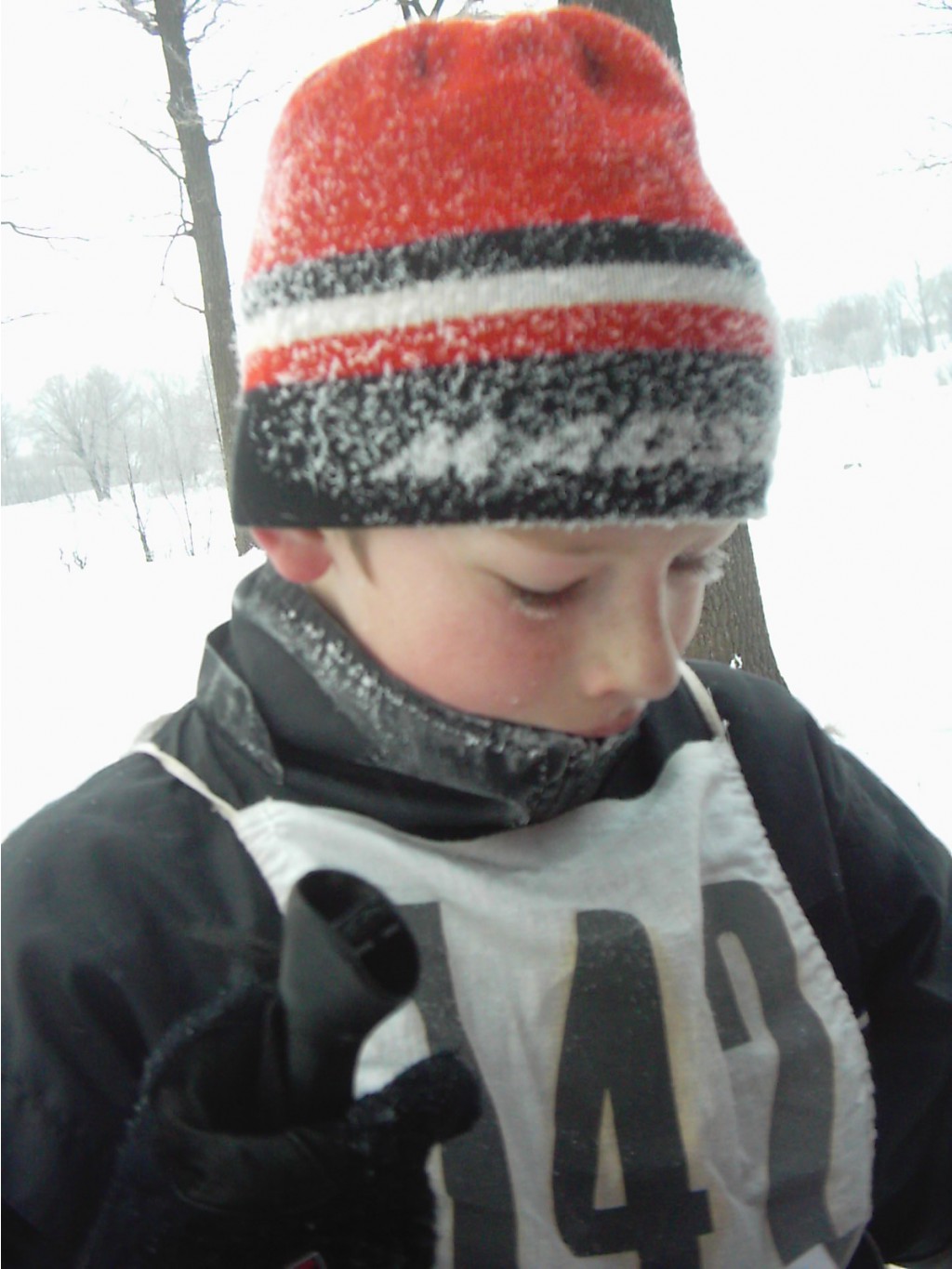 IMG 0082.JPG