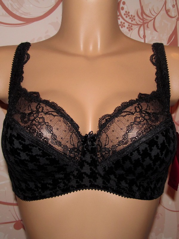 250.00  NOVE*LLA 141-550