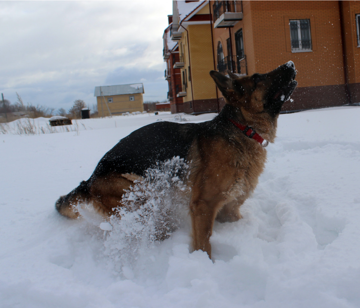 IMG 7417.JPG
