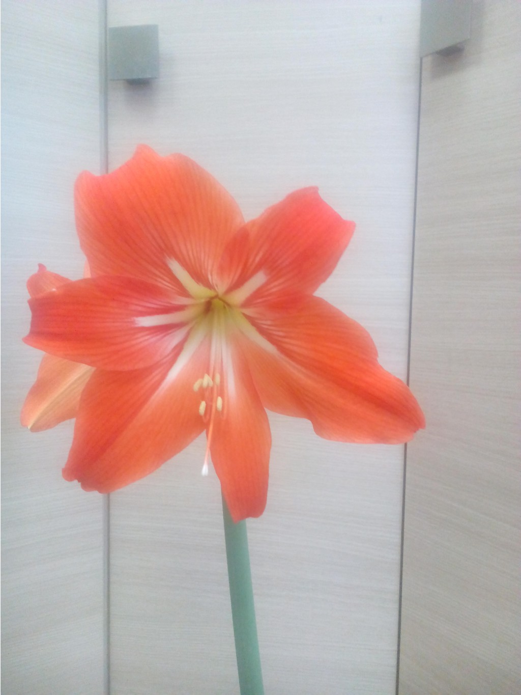 IMG 20170210 151740.jpg