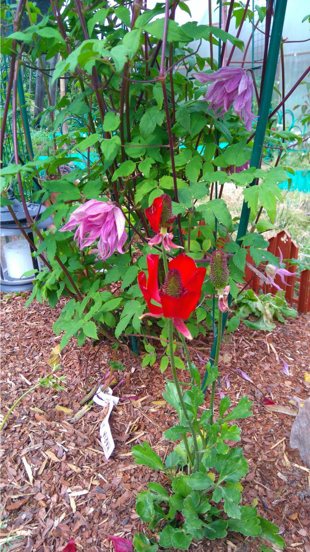 DSC 0744.JPG