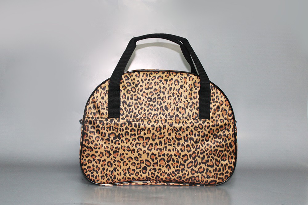 T012 29 leopard.jpg