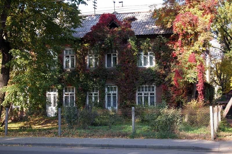 https://img.nn2.ru/galleryview/0/userfiles/data/ufiles/2017-02/9d/c1/c3/58ac90d15cf13_imgp3208.JPG
