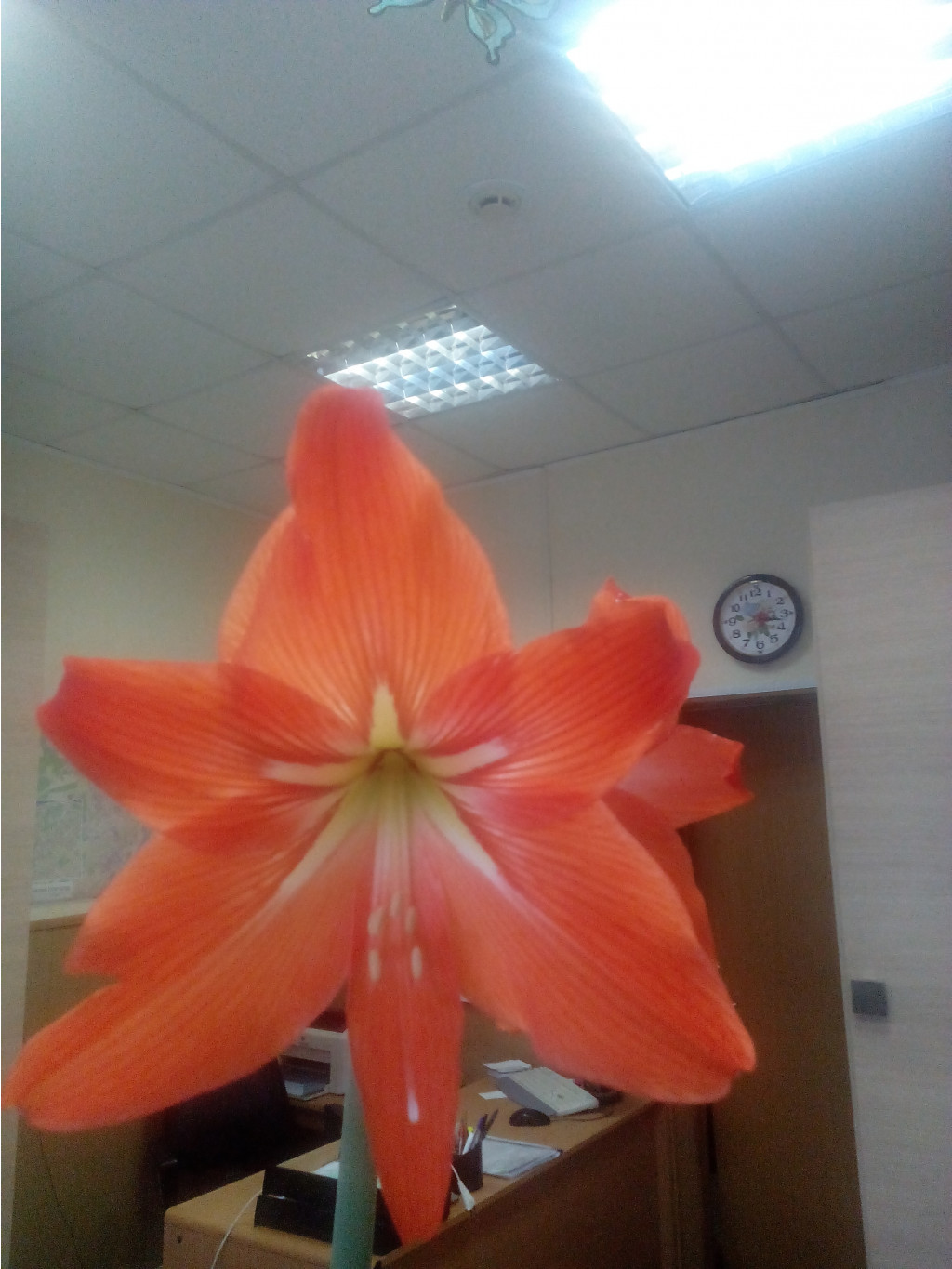 IMG 20170210 151640.jpg