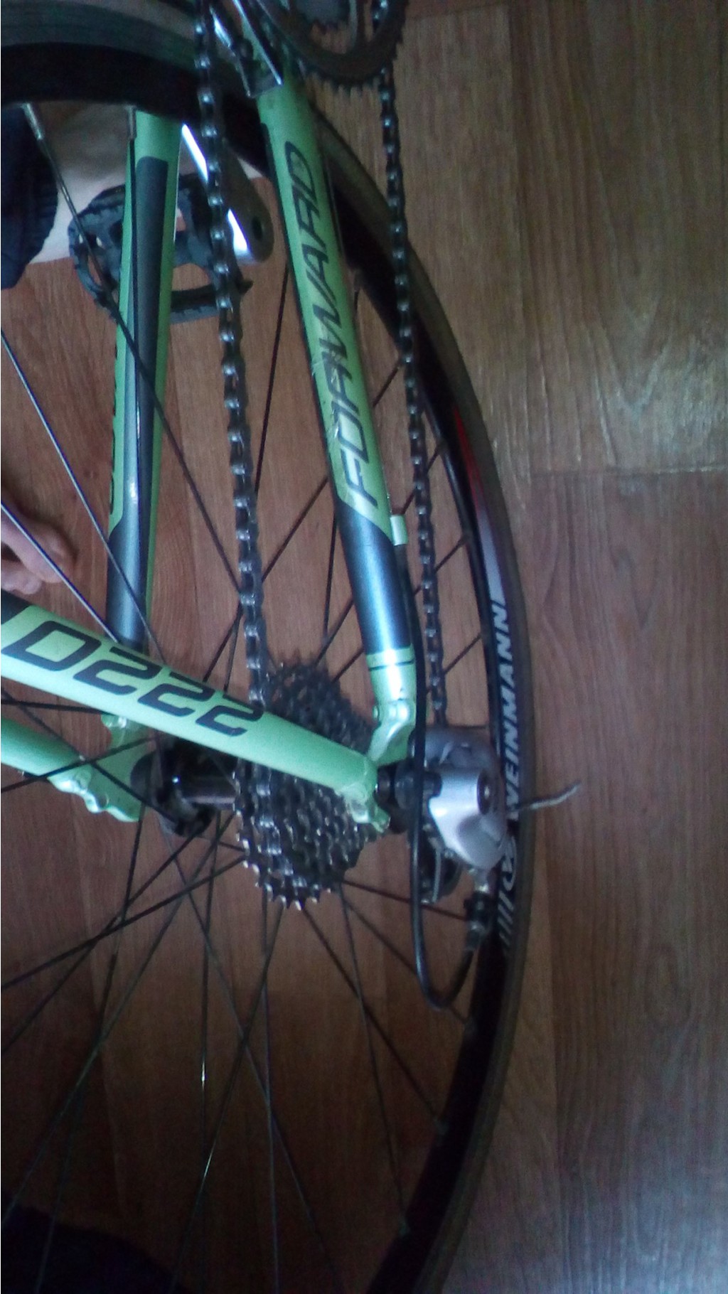 Velo4.jpg