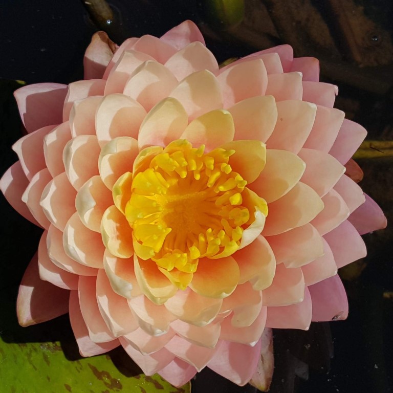IMG 20161109 095209 7.jpg