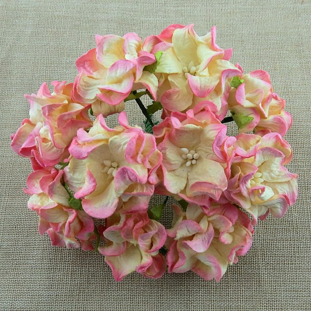 25 2-TONE BABY PINK/IVORY GARDENIA FLOWERS 3.5cm