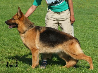 7650-0.jpg