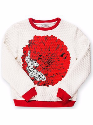 12306-N  . 158,162 - 1720,00  - 1032,00.jpg