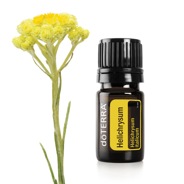  Helichrysum Essential Oil