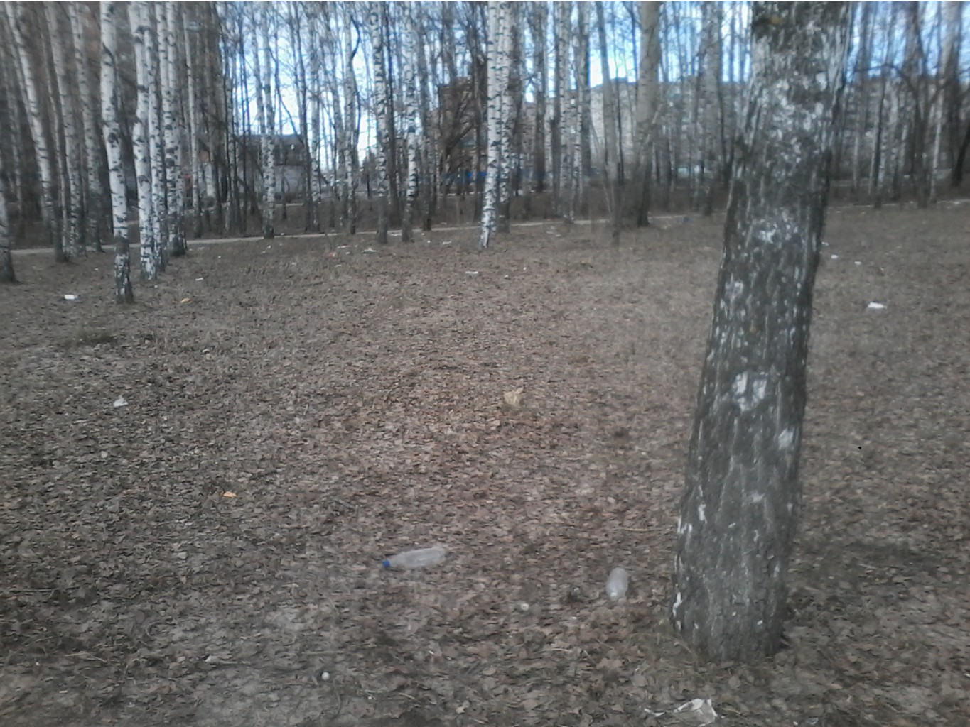 20170331 130515.jpg