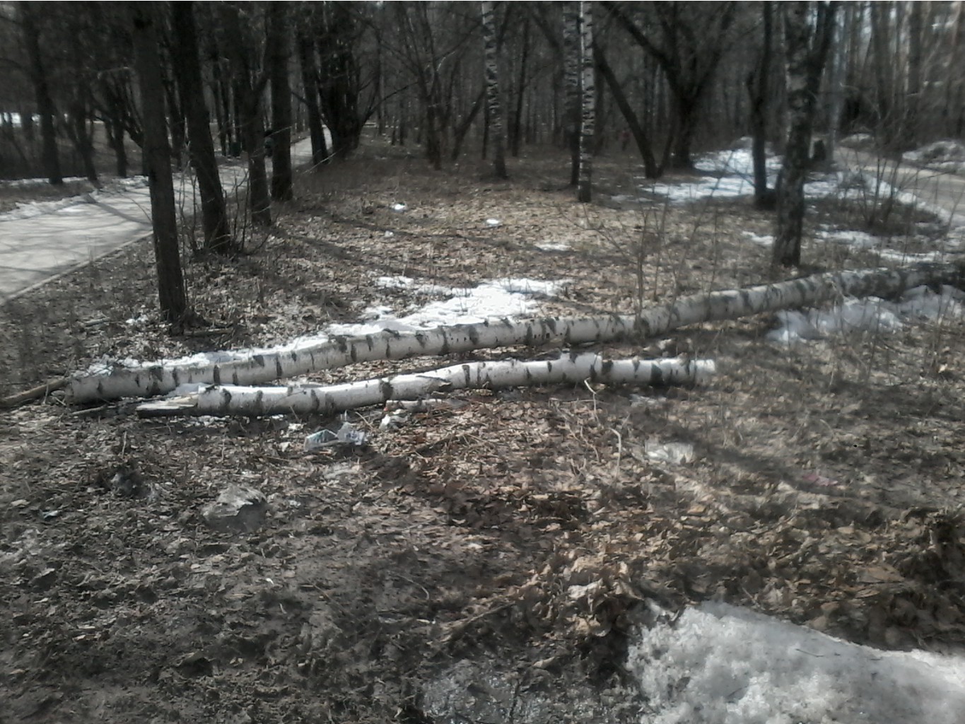 20170331 130718.jpg
