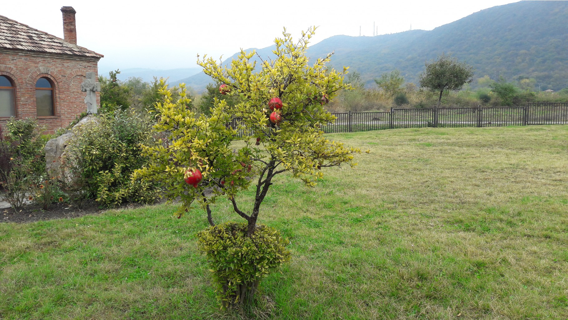 20161030 105202.jpg