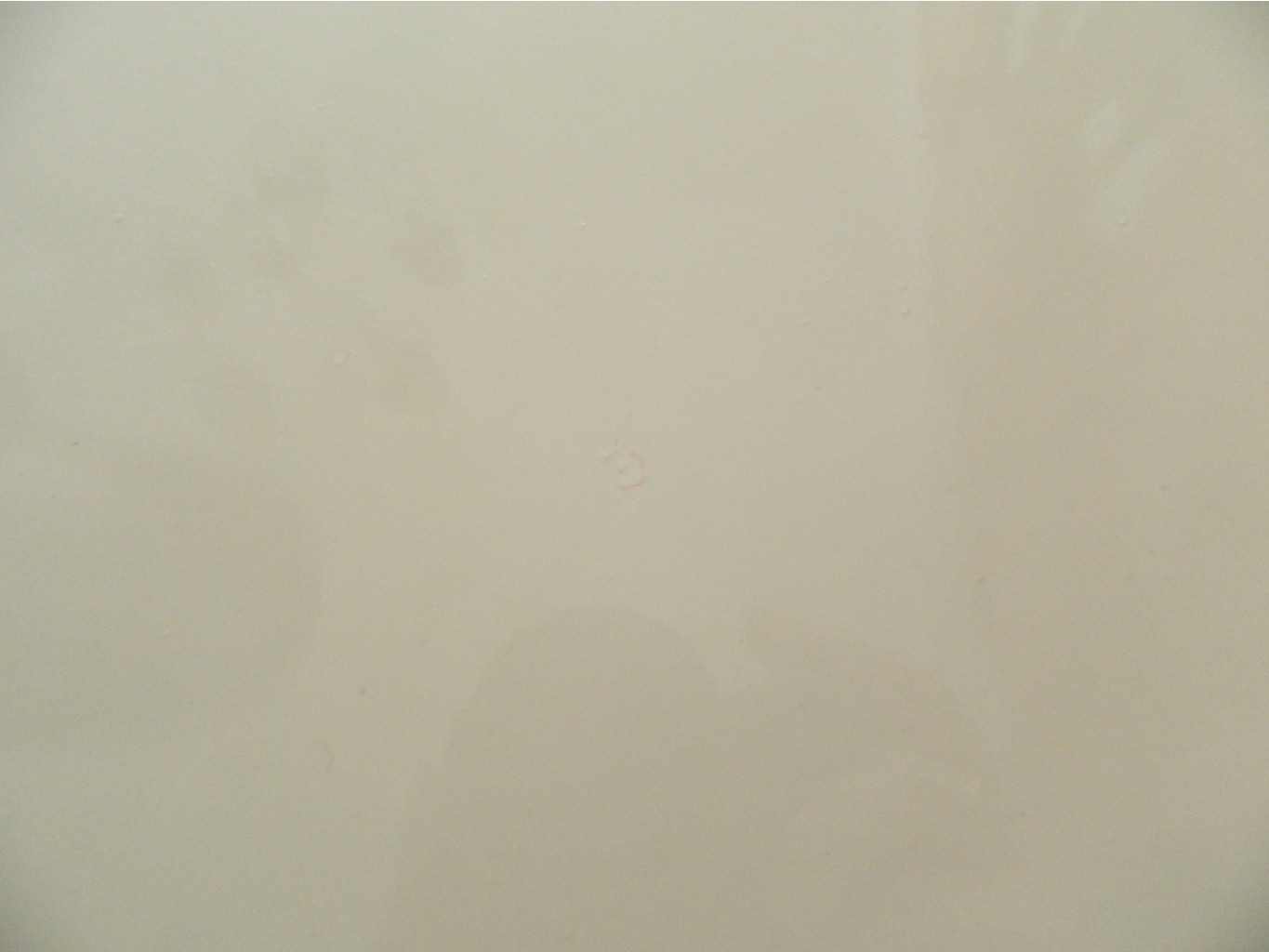 DSCN9099.JPG
