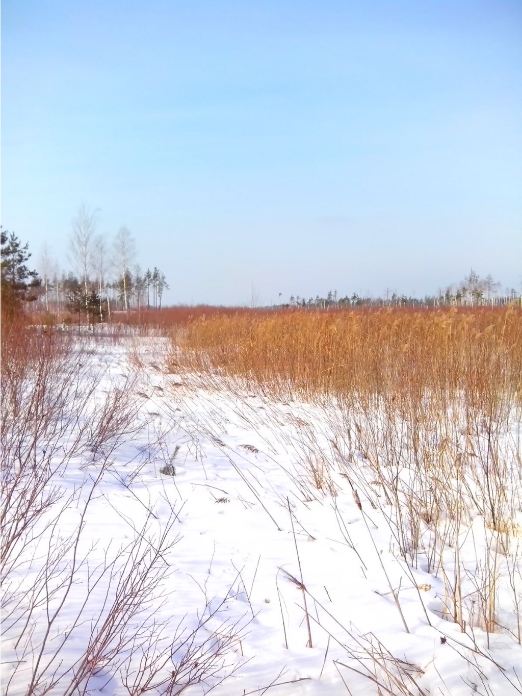 IMG 20170311 104127.jpg