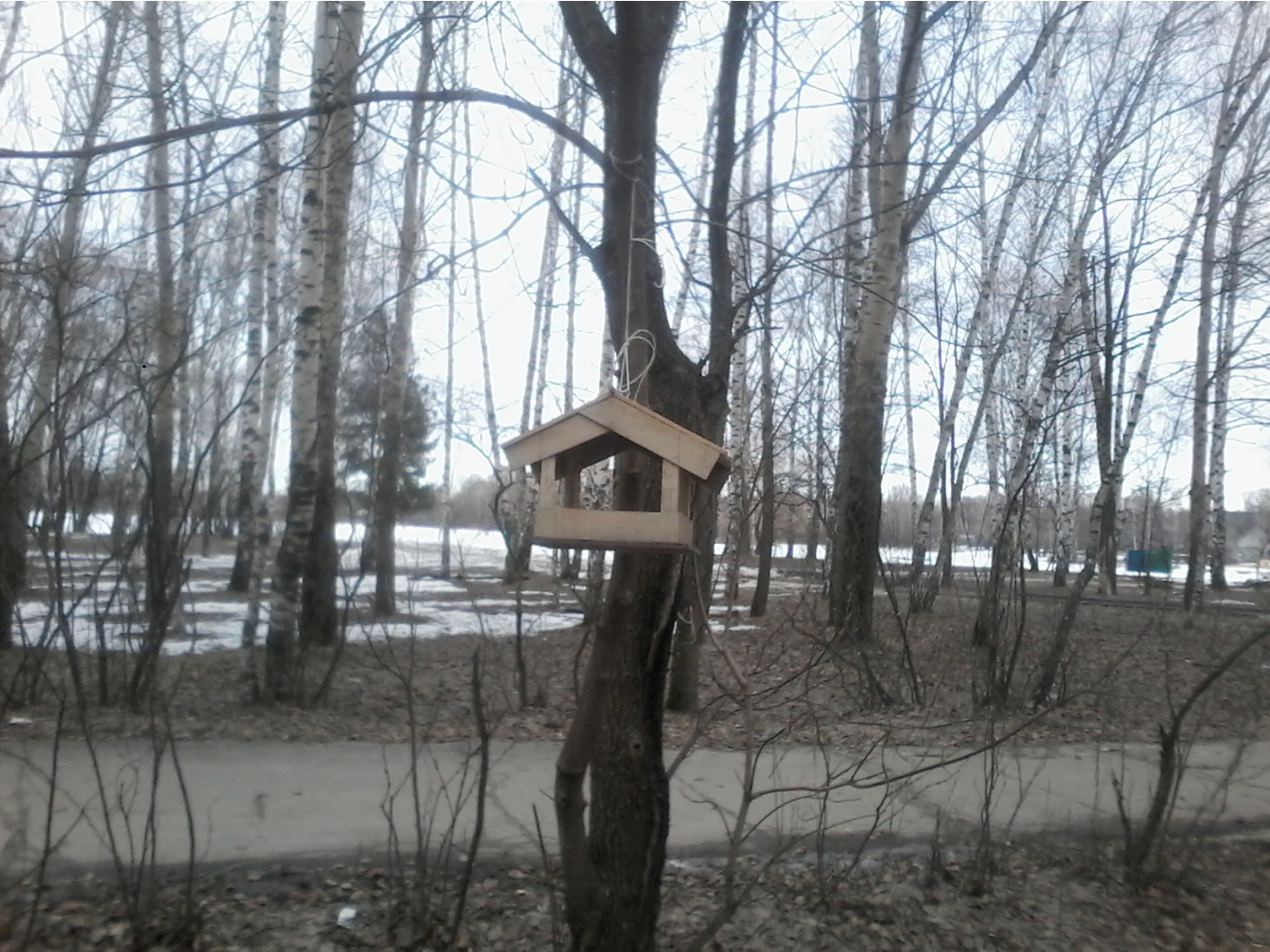 20170331 154345.jpg