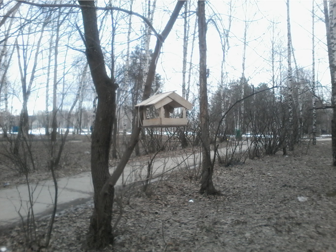 20170331 154338.jpg