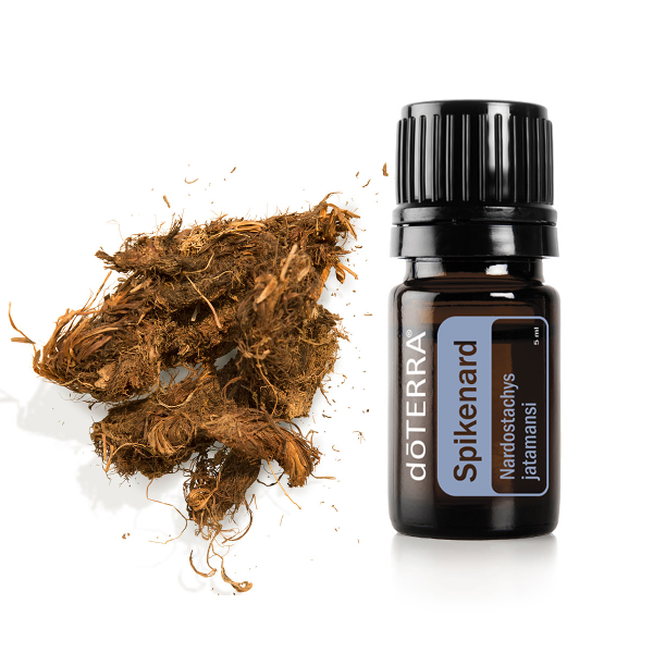  Spikenard Essential Oil.png