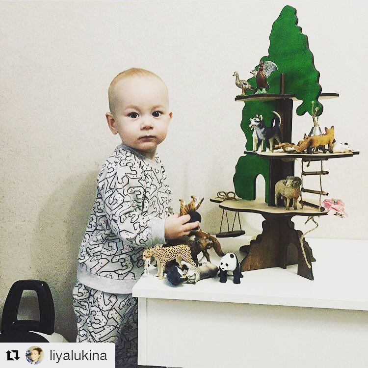 15259126 177615532708081 7949072699173634048 n.jpg