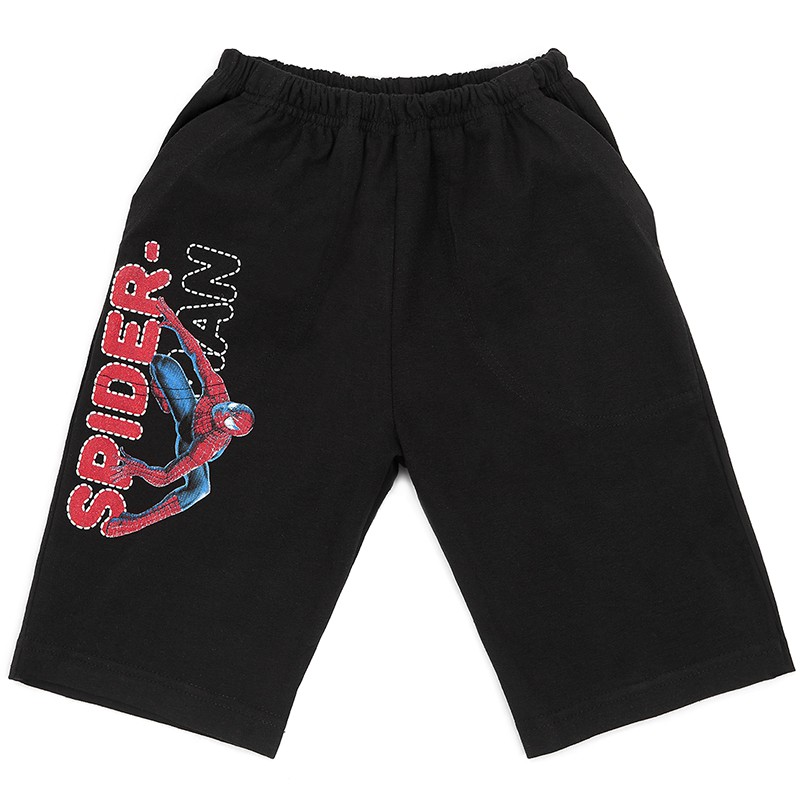    SM