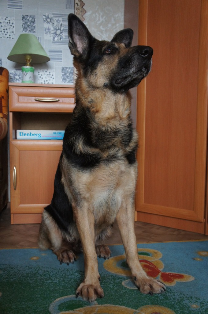 Именинница