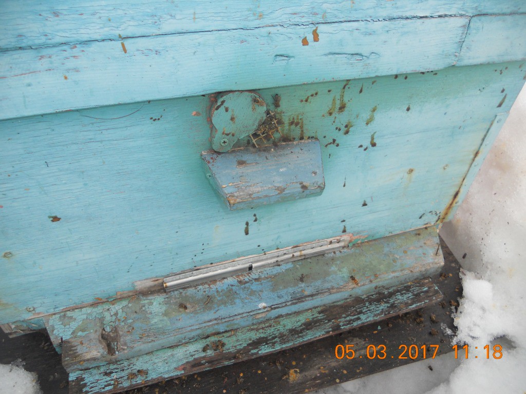 DSCN2205.JPG