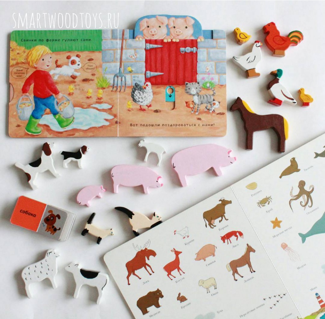 16230418 321232384938723 8257337933825048576 n.jpg