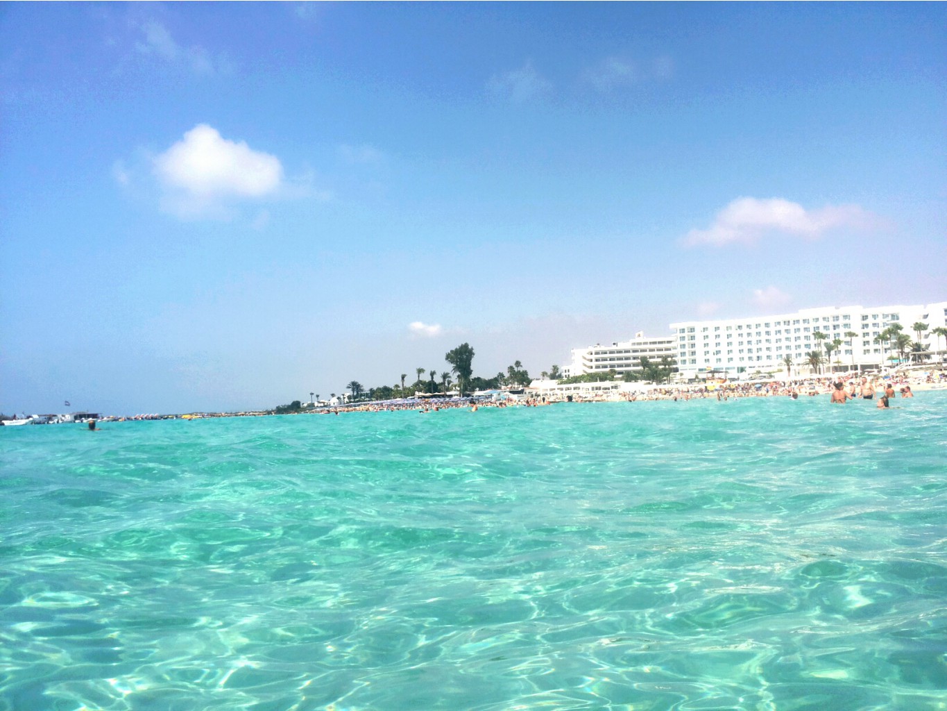 2016-08-16 09.50.06.jpg