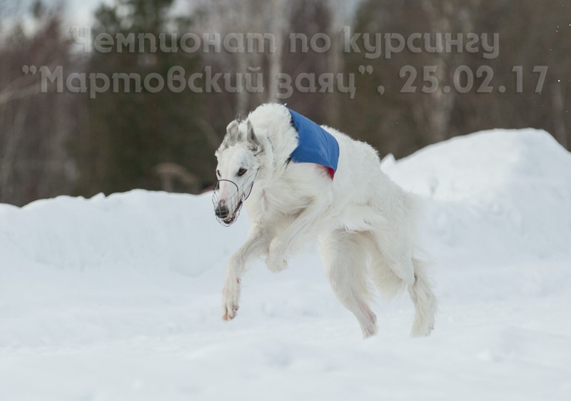 33134914696 35884d9a94 o.jpg