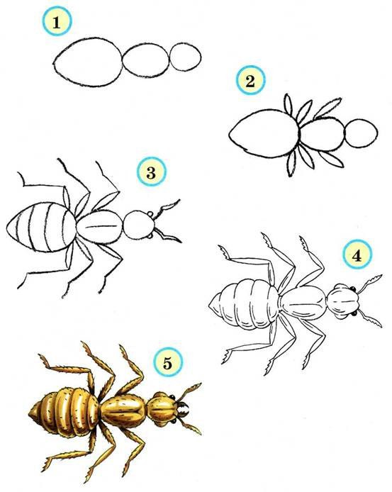 Ris-nasekomih6.jpg