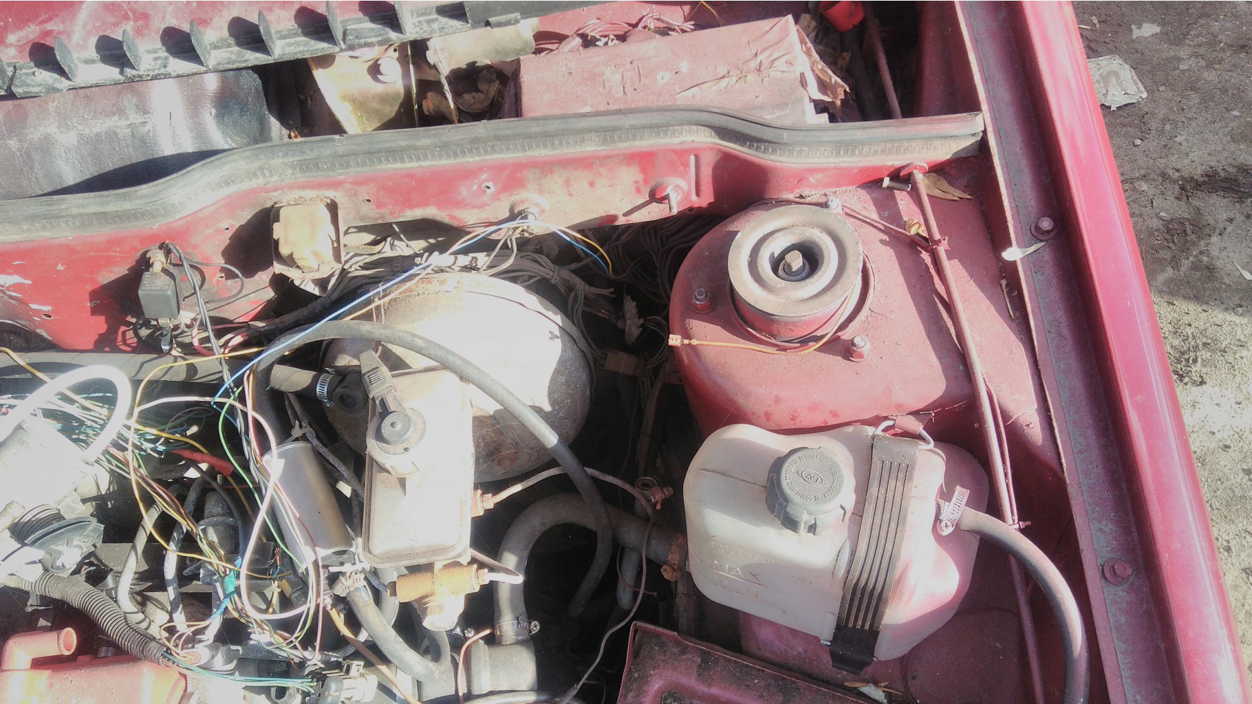 IMG 20170423 160733.jpg