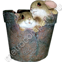 .11201       1725   446 +%.jpg