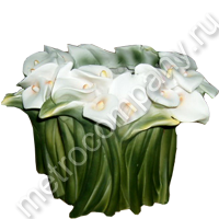 .11243    1725   407+%.jpg