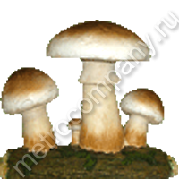 .12499       2930   602 +%.jpg