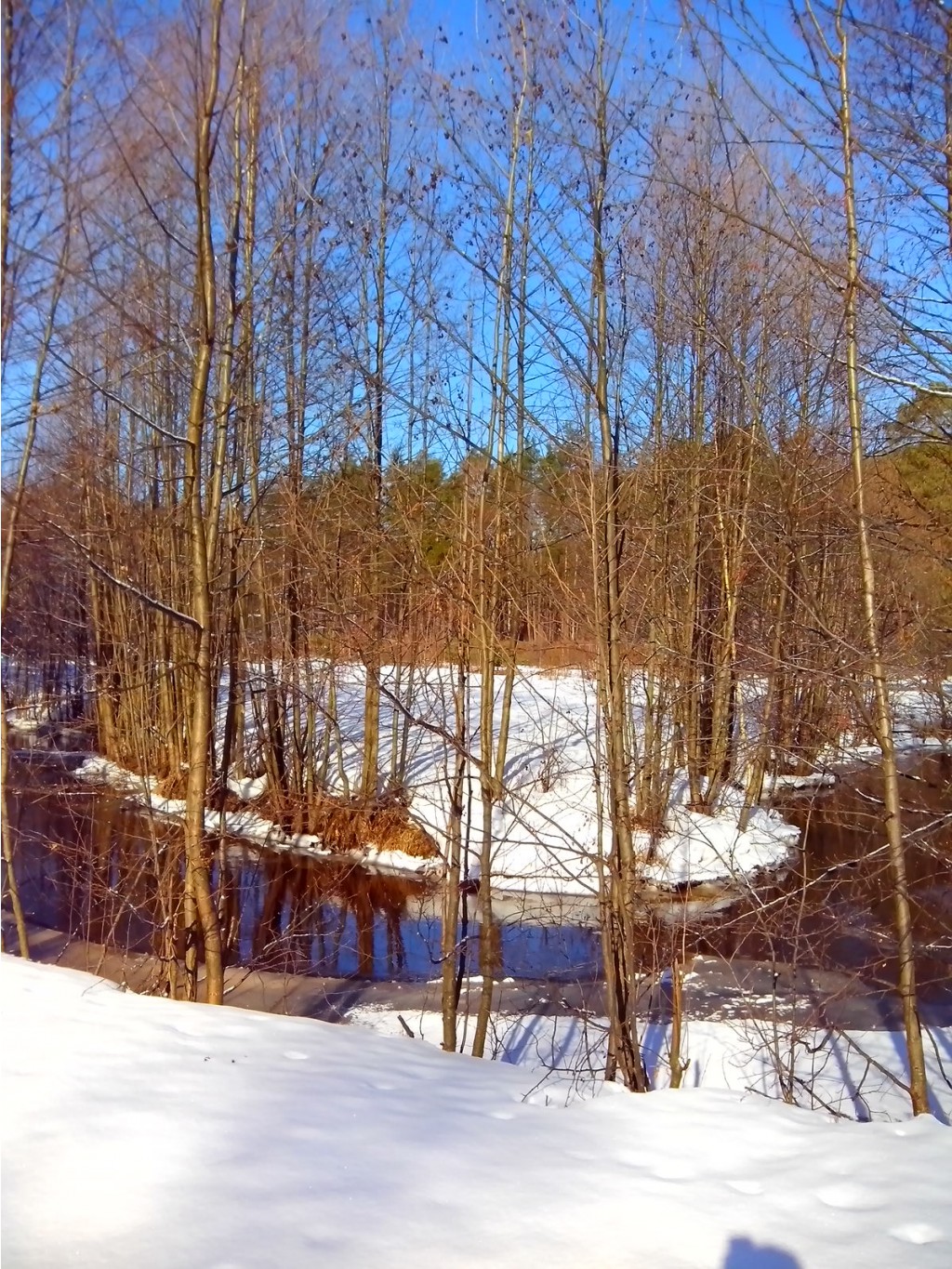 IMG 20170401 084907.jpg