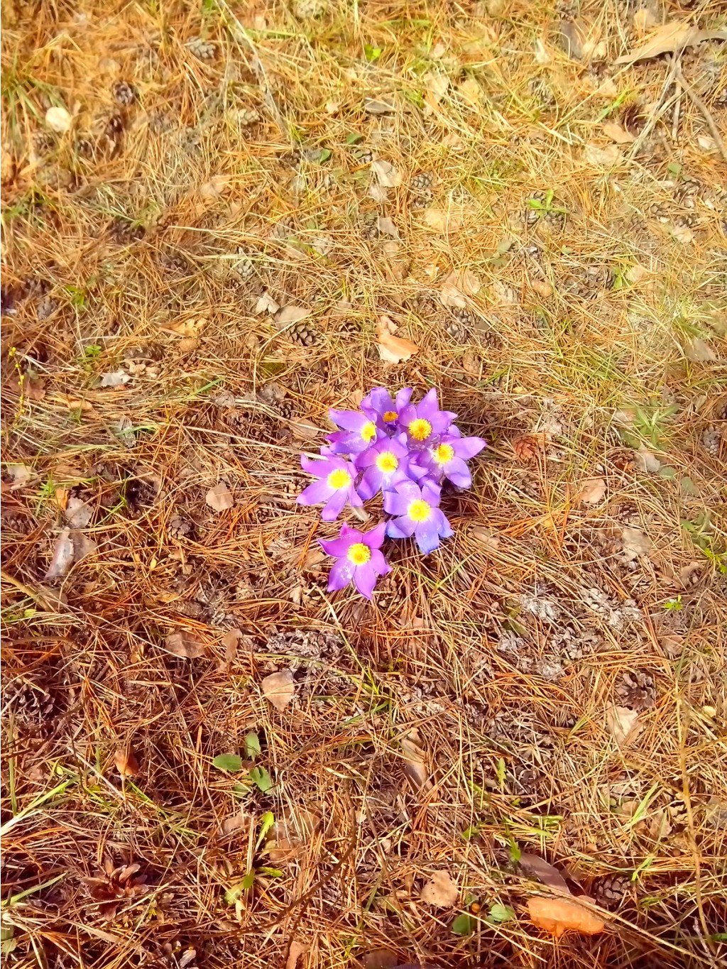 IMG 20170422 124804.jpg