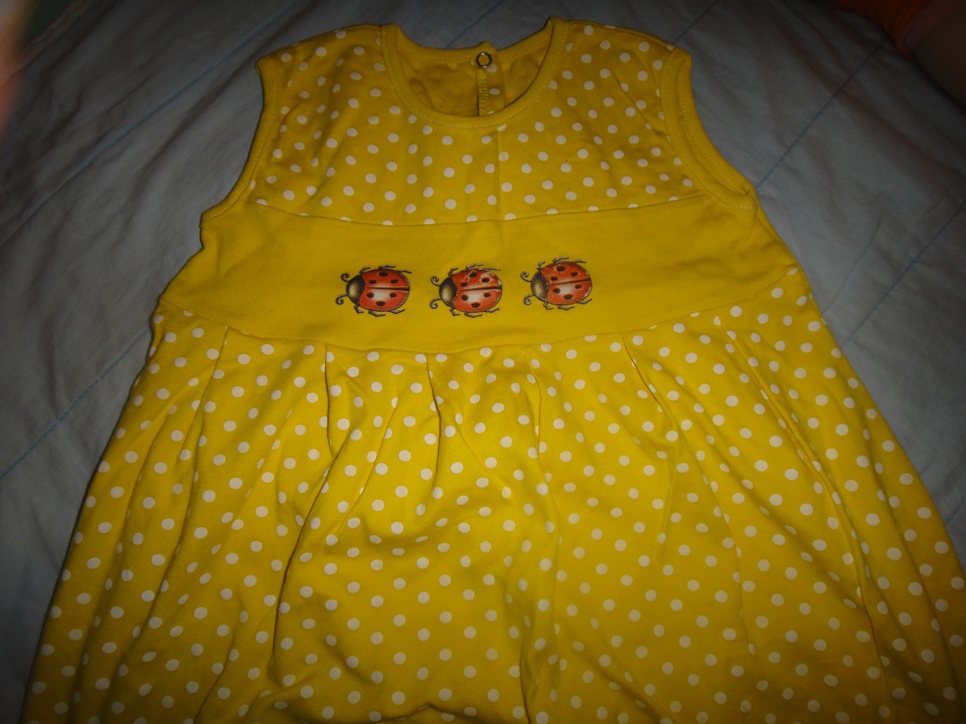 55d79b80a98fb dsc03836.jpg