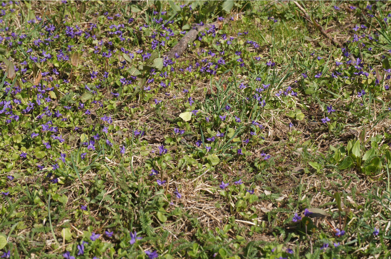 DSC09293.JPG
