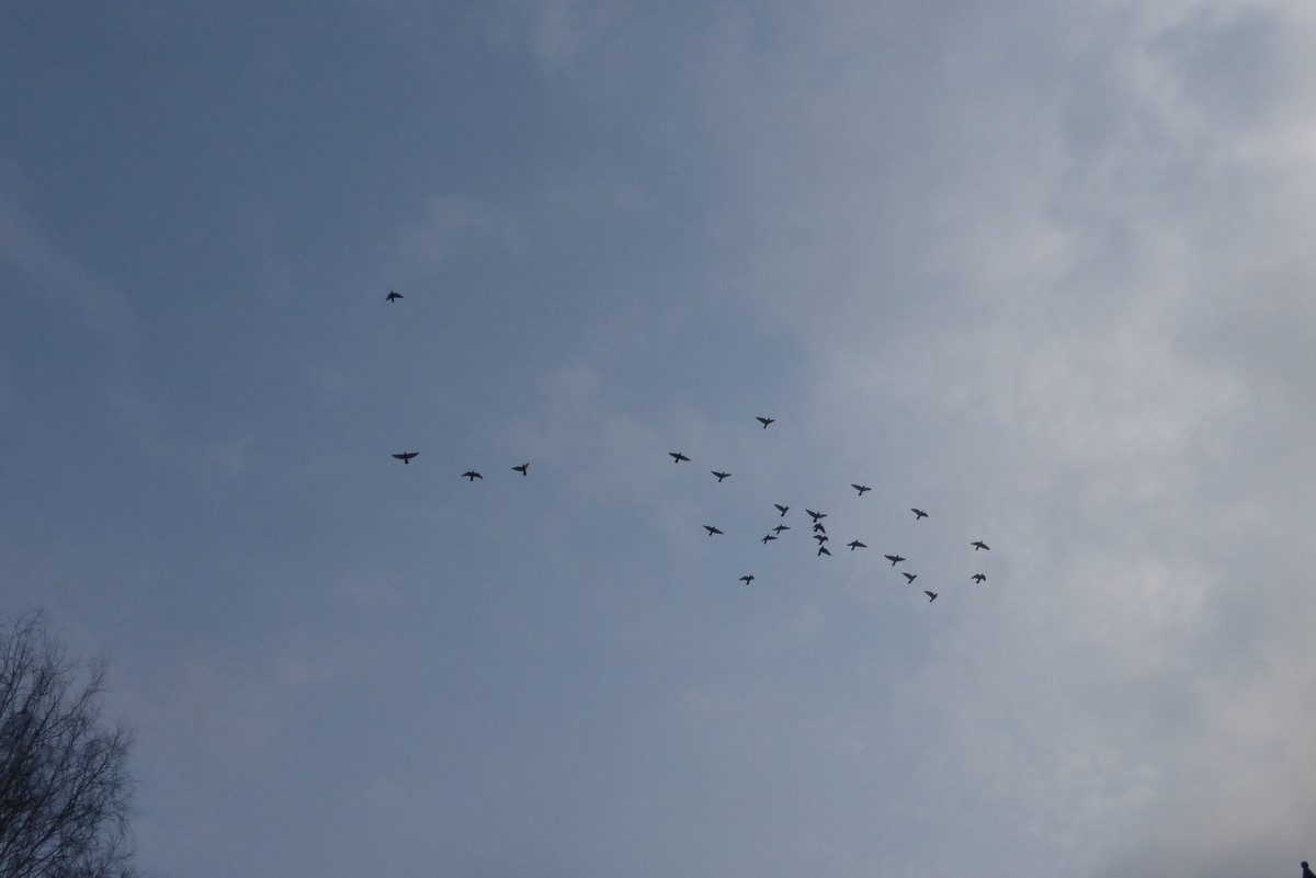P1210327.JPG