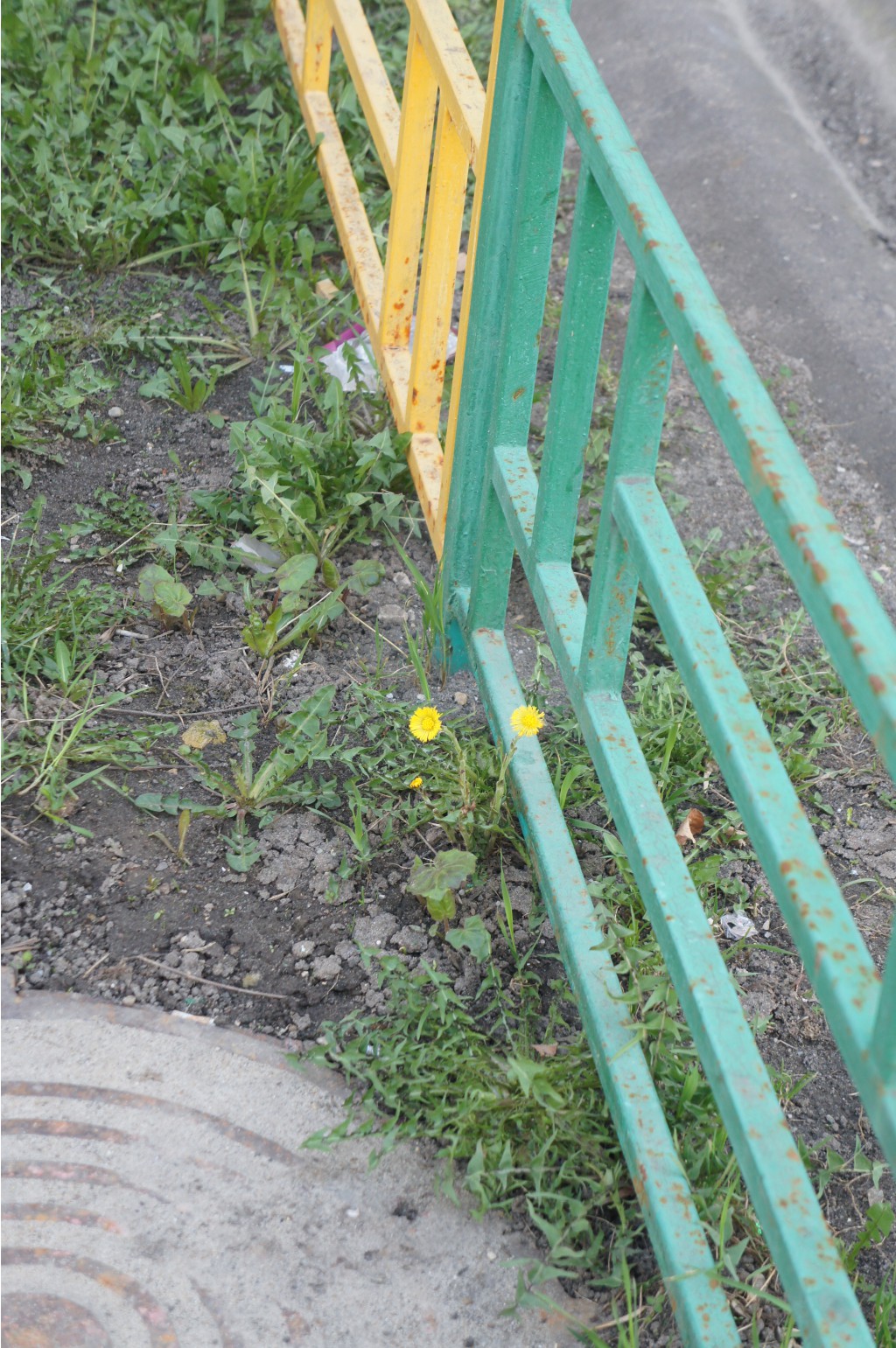 DSC09338.JPG