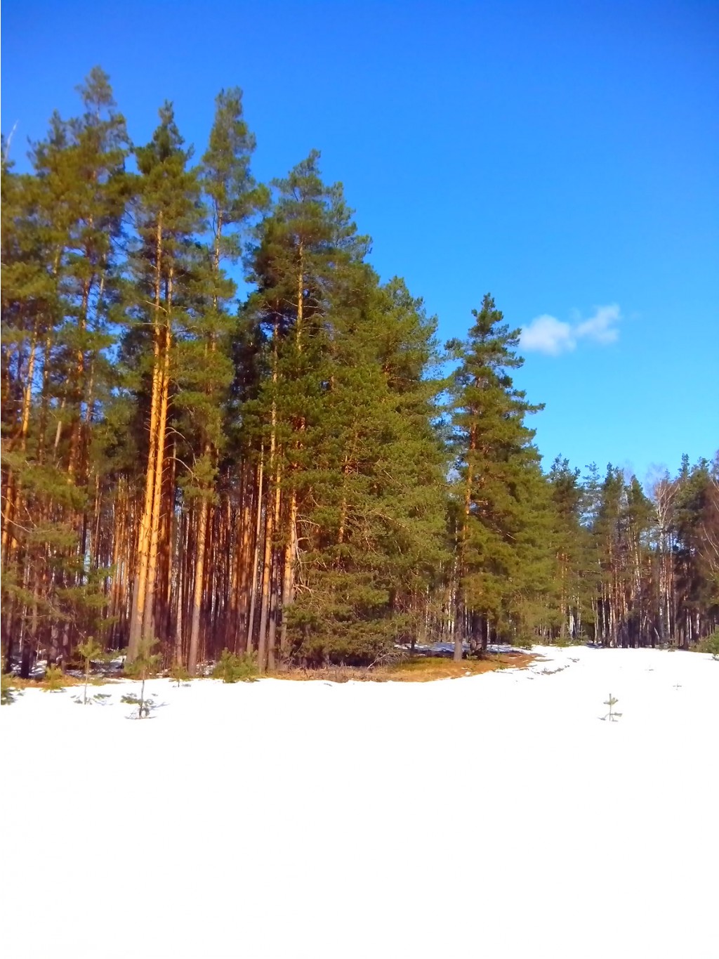 IMG 20170401 095119.jpg