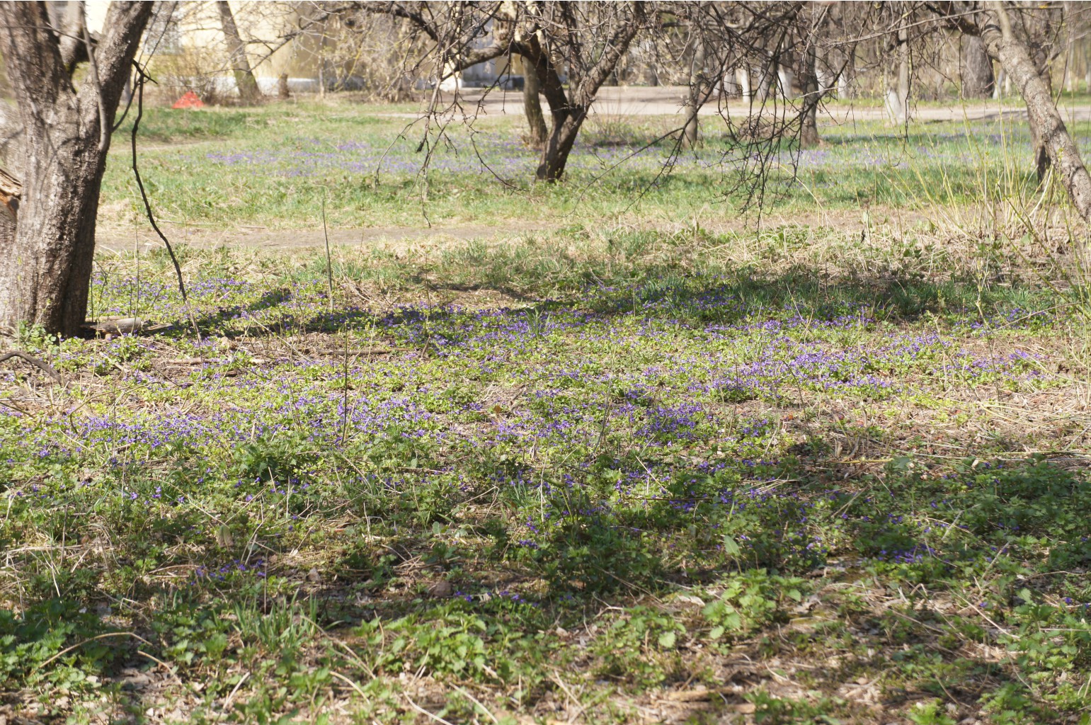 DSC09283.JPG